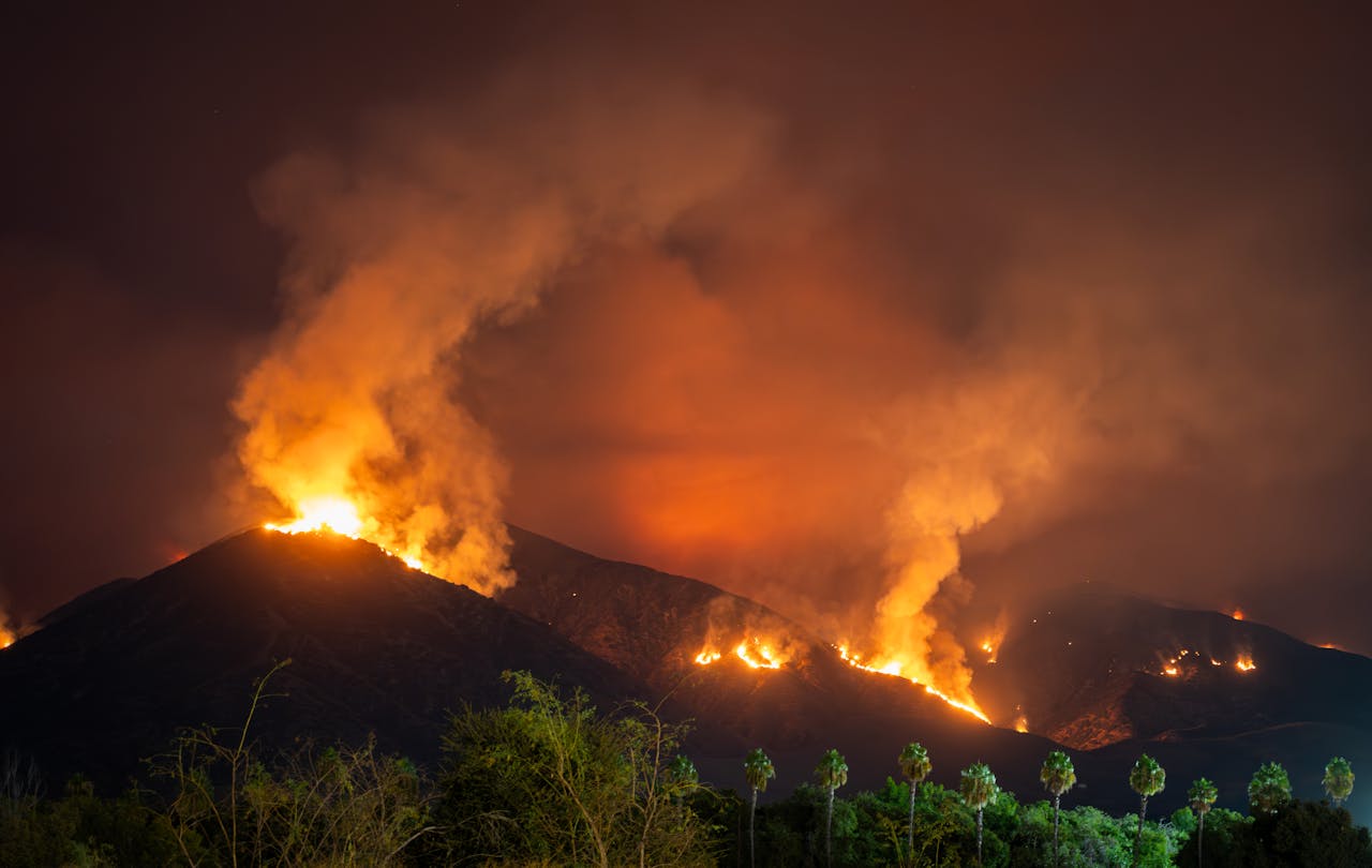 services-01 Intense wildfire scene at night in Redlands, CA with palm trees silhouetted.